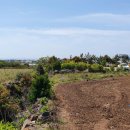 창천지석묘 1호 이미지