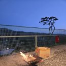 용인 미르힐 | 용인 미르힐 캠핑장 봄맞이 1박2일 이용후기(달빛3, 2구역)