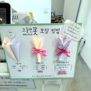 범계역 가볼만한 꽃집 그순간꽃 범계점 방문 후기