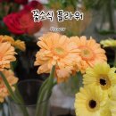 플로리스트 고급 | 플라워 (꽃시장, 주차, 대전 꽃다발 전문점, 꽃바구니, 센터피스 후기, 아기 다이소 플로리스트백 활용)