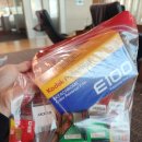 셀레스타 | 2025 IAPLC FES 1일차.