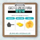 핫플짐 전주송천점 이미지