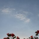 한국중앙교육 이미지