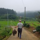통발추어탕 - 밀양시 초하로 570 | 통발추어탕
