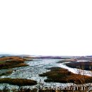 청춘풍차펜션 이미지