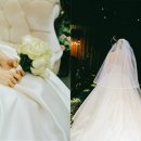 504 | [충남 대전] 본식스냅 room504 계약후기 + 추천인 할인