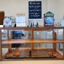 플랫하우스 이미지