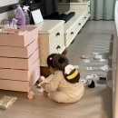 개 웃는날 | [9개월] 기기 마스터 | 잡고 이동하기 | 박수침 | 웃는 척, 우는 척 | 윗니 네 개