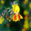 외사경로당 이미지