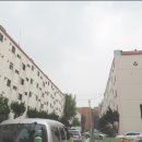 수정-101 이미지