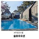 겨울에도 수영 가능한 포항 슬로우오션 무료온수풀 실화 내돈내산