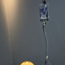 선사소아청소년과의원 네이버블로그