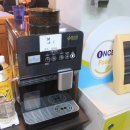 미스터뚱 이미지