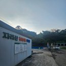 하동애견