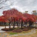 공릉동근린공원 네이버블로그