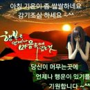 세기냉열 이미지