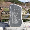 복사꽃향기 이미지