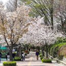 자유공원(장애인화장실) 이미지