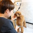 멍클린 이미지