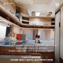 테마 애견 이미지