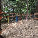 유아동네숲터 이미지