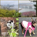 19)11. 莊子장자 外篇외편 第19篇 達生(달생)(第11章)/휴전발표,EU 이단아,케데헌,우주비행사,방공시스템,비싼 청구서,방북 中 이미지