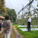 열린농장 이미지