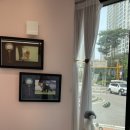 견생의하루 펫살롱 일산본점 이미지