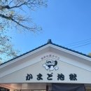 설피공간 | 후쿠오카 효도여행 2박3일, 최단 동선, 심플한 일정, 투어추천, 총 경비 정리 ✅ (2)