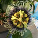 모리폴리 이미지