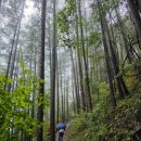 발구덕중간 이미지