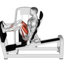 투엑스휘트니스 이미지