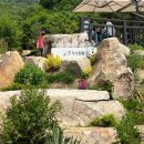 하나아파트 뒷편 산책로 입구 이미지