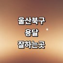 보물섬 | 추천 전문업체 금액 견적 렌트 다마스 소형 퀵서비스 운송 대여 침대 후기 가격 라보용달 1톤용달 대형