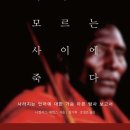 동작키즈 대축제 이미지