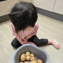 민제농장 이미지