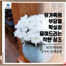 현대상조 이미지