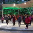 S라인 라인댄스 이미지