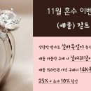 컬트갤러리