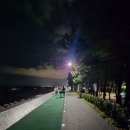 명지오션시티해안제방로 | 🌊 명지오션시티 해안산책로 갈맷길 야밤산책 🌙