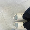 신세계재활의학과 | 바크 슬리퍼 I 슬라이드 사이즈 240 내돈내산, 발편한 사무실 실내화 솔직후기