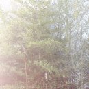 용인시청 농구장