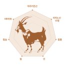 진 한방 흑염소 이미지