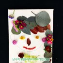 신세계원예 이미지