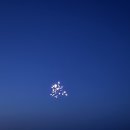 성류식당 네이버블로그