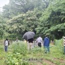 전국도시농업시민협의회 | 2026 전국도시농업시민협의회 하지대회 개최