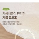 에브리빙