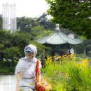 용산-이촌-31 이미지