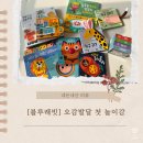 엄마랑 오감톡톡 신나는 그림책 놀이 | [내돈내산] 생후 2개월 아기 전집 추천, 블루래빗 오감 발달 세트 내돈내산 솔직 후기