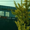 손덕희마취통증의학과의원 네이버블로그